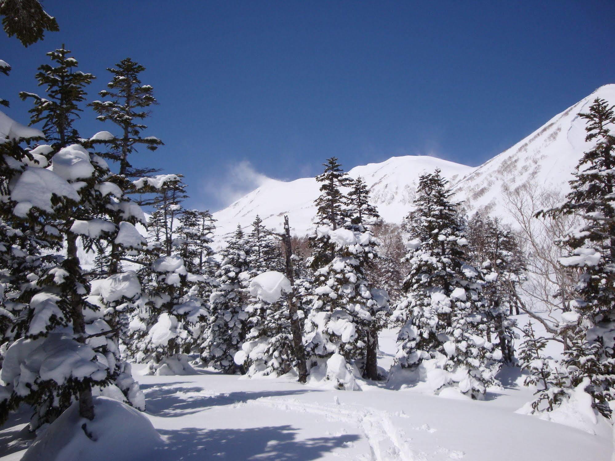 Hotel La Montagne Furuhata Hakuba Exterior photo